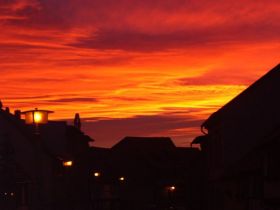 Tierheilpraxis Susanne Traubach