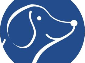 Faires Hundetraining