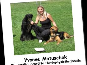 Hundepyhsiotherapie Nürnberg