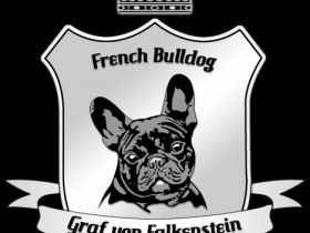 Graf von Falkenstein