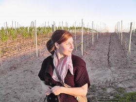 Wolfs Rudel - HundeHalterCoaching