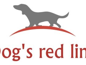 Dog's red line - Die Herrchen- und Frauchentrainer