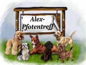 Alex-Pfotentreff