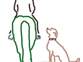 Natürlich mit Hund & Pferd Schrobenhausen