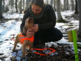 Von der Kalksburgerhöh