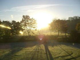 Hundepension Münster