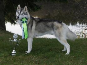 Guadaletin Artico Encanto