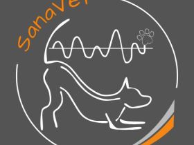 SanaVet