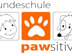 Hundeschule pawsitive Donauwörth
