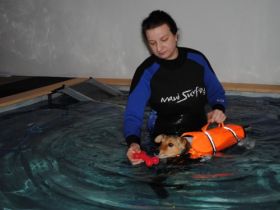 Tierphysiotherapie/Osteopathie/Tierheilkunde/Hundeschwimmbad