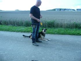 Stressfrei-Hund & Mensch