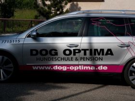 Dog Optima