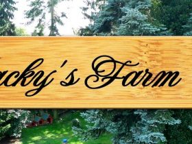 Jackys Farm Hundepension