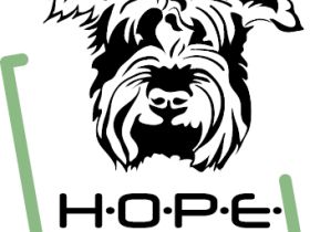 Hundetraining mit H.O.P.E.