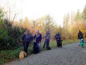 Hundeführerschein BLTK Sachkunde Hund