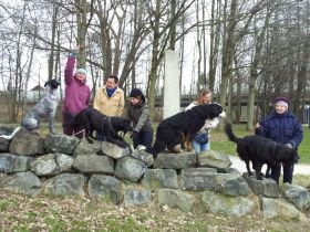 Hundeführerschein BLTK Sachkunde Hund