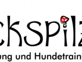 Glückspilze - Hundebetreuung und Hundetraining