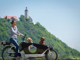 Radreisen mit Hund im Bayerischen Wald