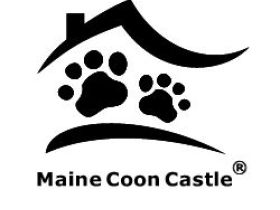 Maine Coon Castle