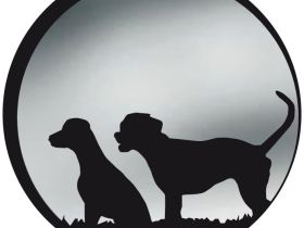 Hundeleben Münsterland