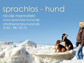 sprachlos-hund
