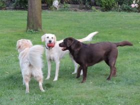 Michaela Führböter