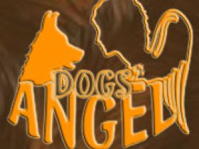Dog's Angel - Hundeschule a.d. Bergstrasse