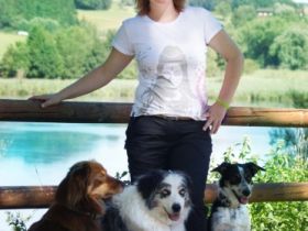 Hundeschule kyno-logisch