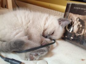 of castelli italiani