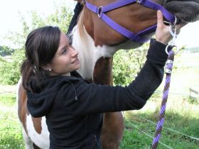 Pferdeosteopathie Lena Rack