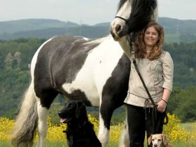 Tierheilpraxis Stefanie Kugler