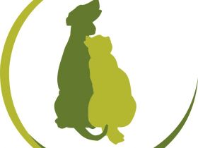 Tierheilpraxis für ganzheitliche Therapie - Tierheilpraktikerin Martina Banse