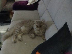 Vom Leuteroder Malberg