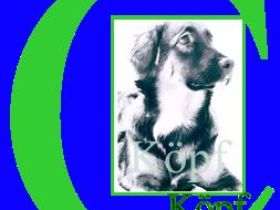 Tierphysiotherapiepraxis Tierernährung C. Köpf