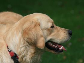 Giaccomo v. Rheydter Schloss Schatten