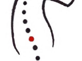 Osteopathische Tierheilpraxis Augsburg