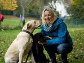 Krambambuli Erziehungsberatung f. Menschen m. Hund