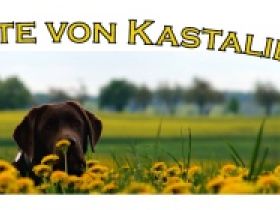 von Kastalien