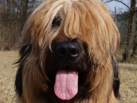 Les Filous avec Esprit