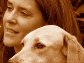 Mobile Hundeschule Bergstrasse