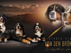 Von den Brüner Höhen