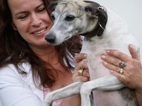 Naturheilpraxis für Tiere Britta Franke