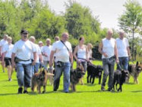 Hundegruppe des Tierschutzvereins Reichenbach