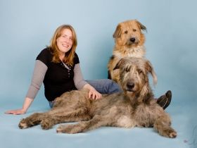 4pfotencoaching - Hundeschule Heike Weigand