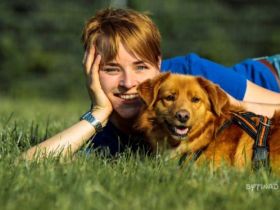 Fellwechsel - Schule für Mensch und Hund