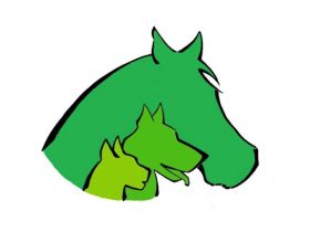 PET-Therapie Physiotherapie und Ernährungsberatung für Tiere