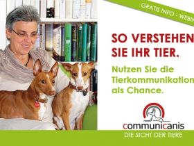 Die Chance der Tierkommunikation erkennen & nutzen 12.06.25