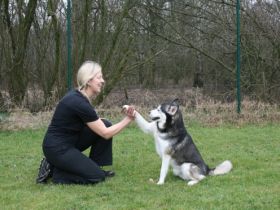 Hundekrankengymnasik Pfalzdorf