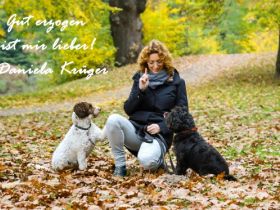 Hundetrainingszentrum Salzwedel