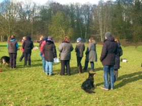 Hundeausbildung beim HST in Osnabrück